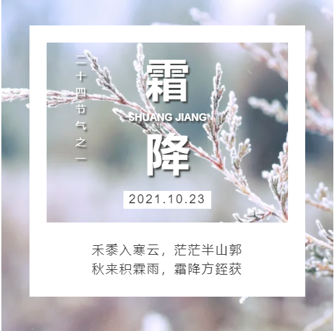 图片加载失败